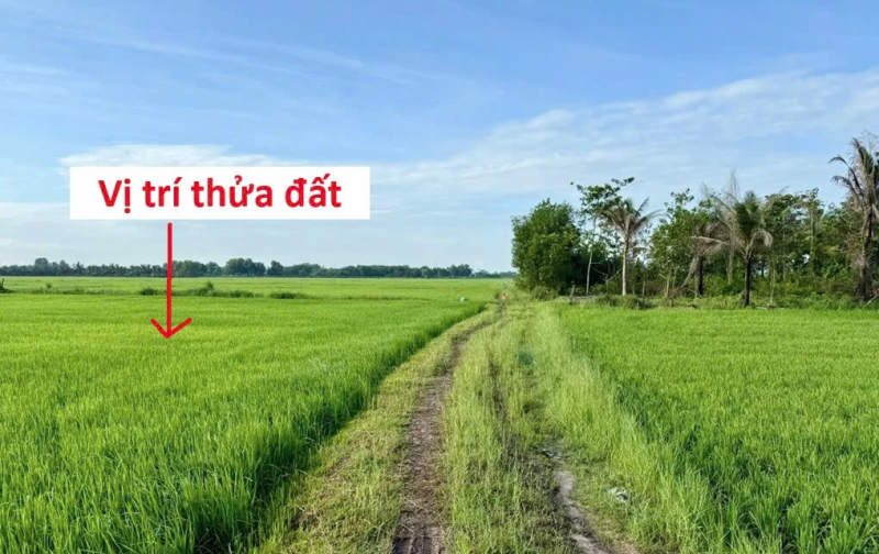 BÁN ĐẤT CHÍNH CHỦ KHÔNG QUA MÔI GIỚI, CẦN RA GẤP GIÁ TỐT